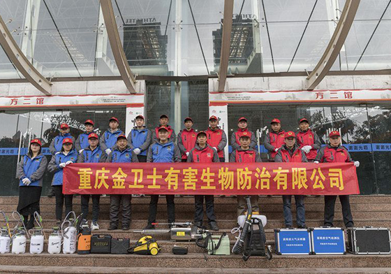 散白蟻侵害現(xiàn)代建筑，如何有效進(jìn)行白蟻防治處理