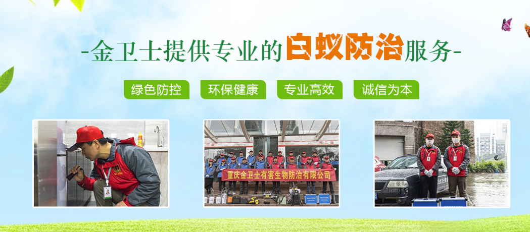 春季3月時(shí)期，白蟻消殺工作任重而道遠(yuǎn)  ?
