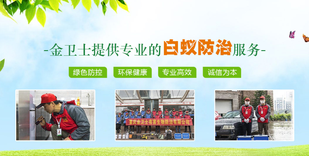 丑陋的蟑螂看起來很可怕。如何解決這種情況？