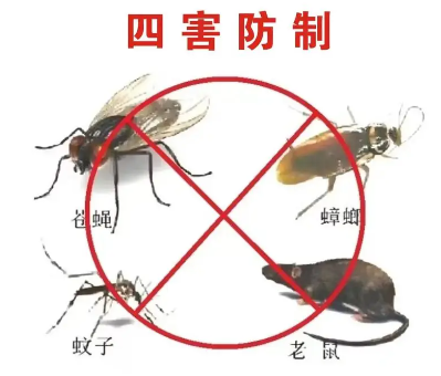 消殺公司怎么看專(zhuān)業(yè)不專(zhuān)業(yè)？